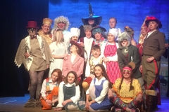 Cast of the 2019 Pantomime