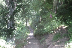 Path to Denholme Wood