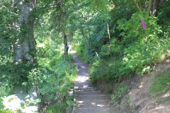 Path to Deneholme Wood